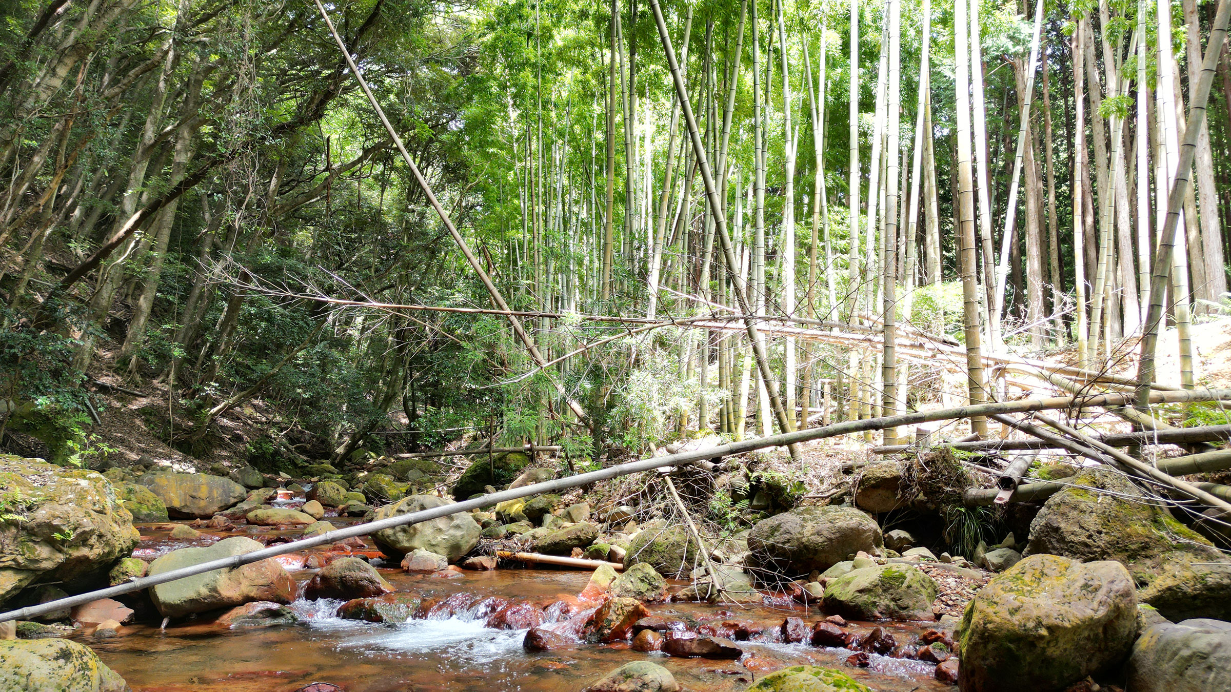 製品コンセプト02