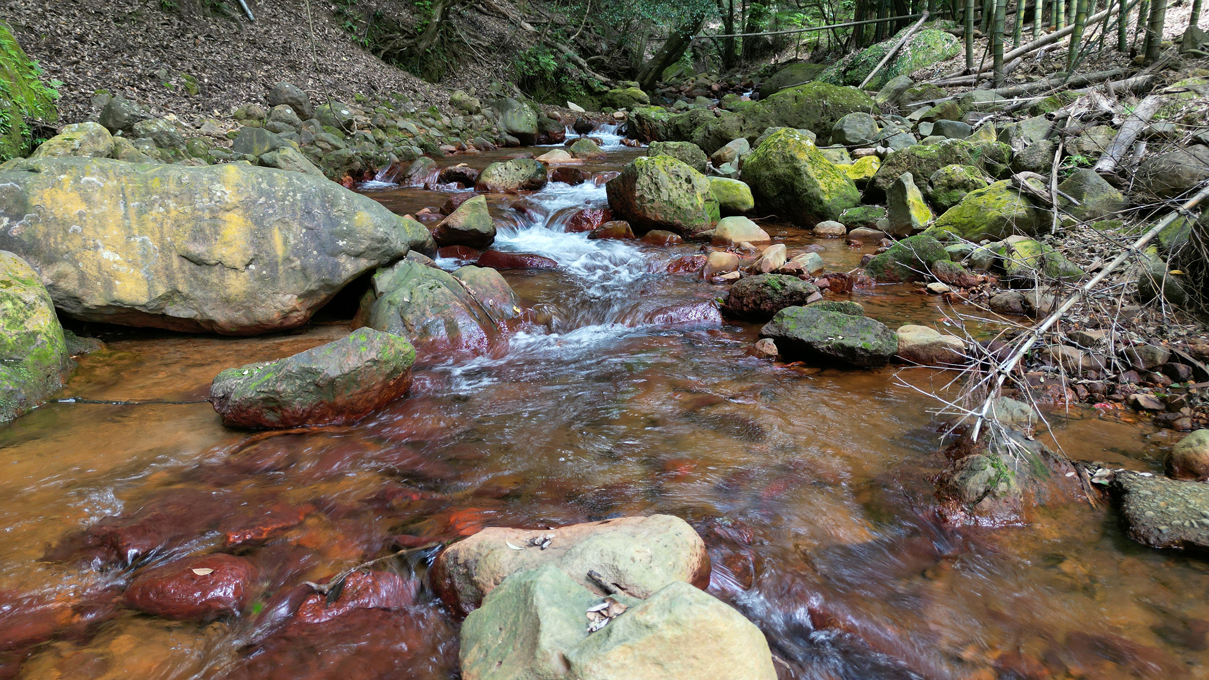 温泉から湧き出る天然水