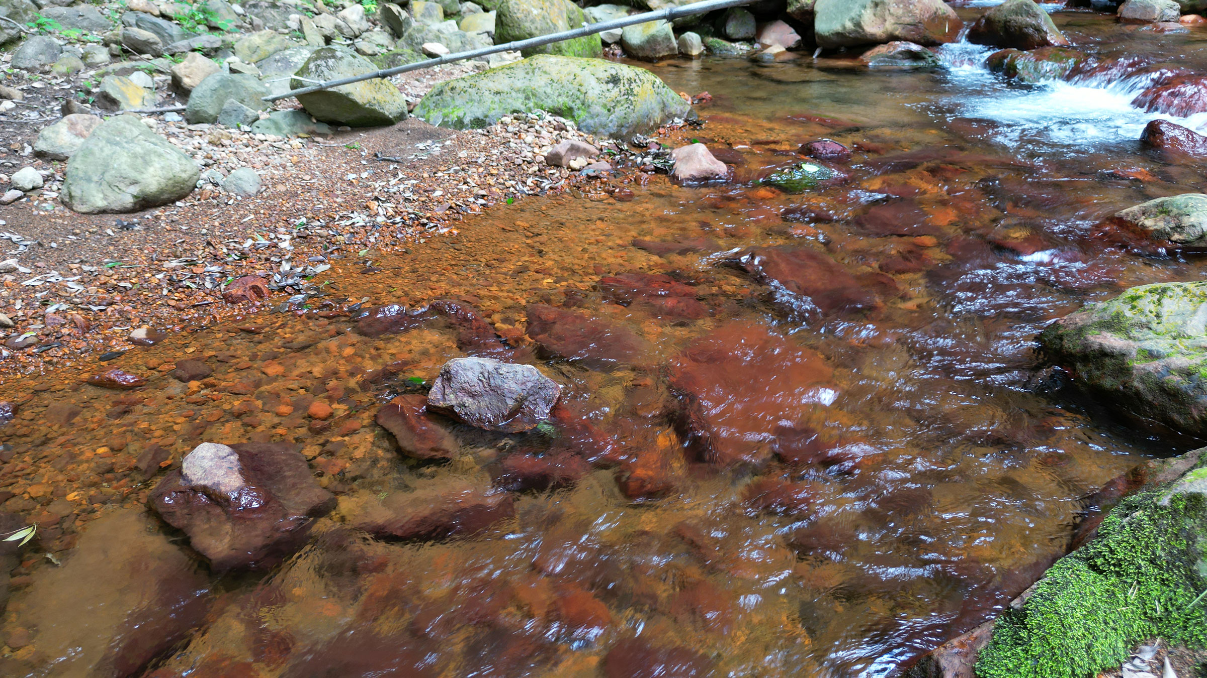 生産地ロケーション
