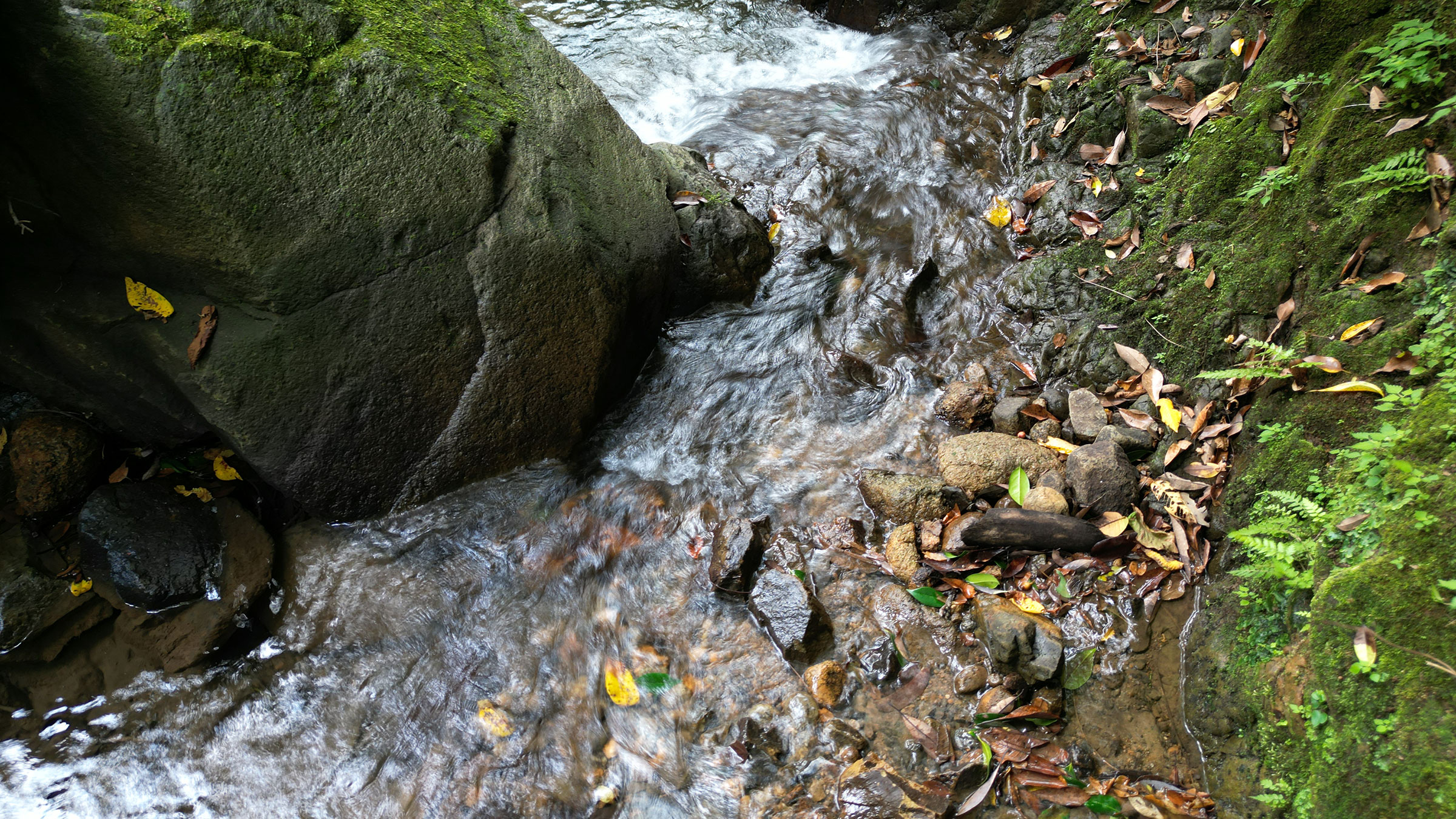 生産地ロケーション